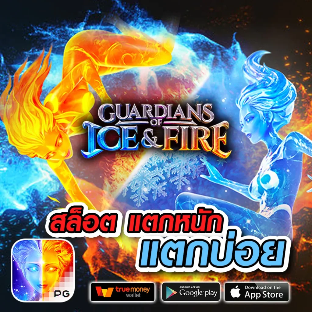 โบนัส bk-989